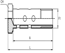 Double BSPP Bolt