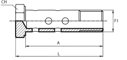 Double BSPP Bolt