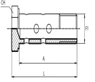 Double BSPP Bolt