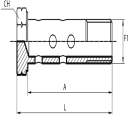 Double Metric Bolt