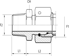 Straight stud standpipe adapter with O-ring