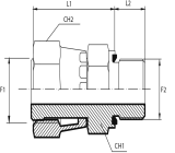 Adaptor female ORFS - male BSPP form E