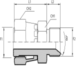 Adaptor female ORFS - male BSPP with 60° cone