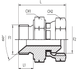 Adaptor male metric - metric swivel female