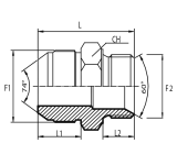 Adaptor male JIC - male BSPP with 60° cone