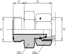 Adaptor male ORFS - female DIN (thrust-wire nut)