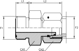 Adaptor male ORFS - female DIN (thrust-wire nut)