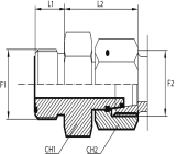 Adaptor male ORFS - female DIN (thrust-wire nut)
