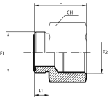 Adaptor male ORFS - fixed female BSPP
