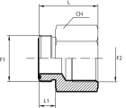 Adaptor male ORFS - fixed female BSPP