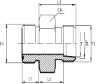 Adaptor male ORFS - male DIN