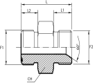 Adaptor male ORFS - male BSPP with 60° cone