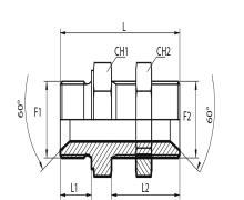 Straight bulkhead adaptor BSPP