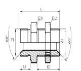Straight bulkhead adaptor BSPP