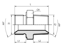 Adaptor male BSPP - male BSPT