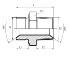Adaptor male BSPP - male BSPT