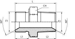 Adaptor male BSPP - male NPT