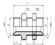 Metric straight bulkhead adaptor