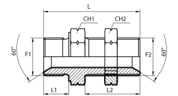 Metric straight bulkhead adaptor