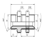 Metric straight bulkhead adaptor
