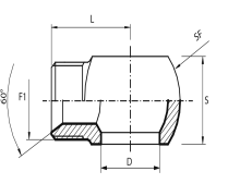 Banjo BSPP - male BSPP