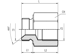Adaptor male BSPP - fixed female BSPP