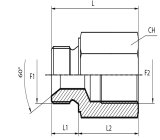 Adaptor male BSPP - fixed female BSPP