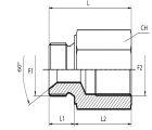 Adaptor male BSPP - fixed female BSPP