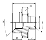 Reducing Adaptor male BSPP - male BSPP