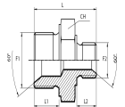 Reducing Adaptor male BSPP - male BSPP