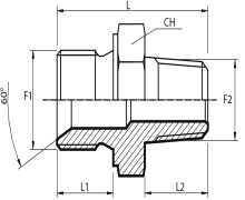 Reducing Adaptor male BSPP - male BSPT
