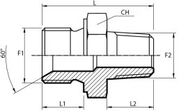 Reducing Adaptor male BSPP - male BSPT