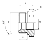 Reducing plug male BSPP - fixed female BSPP