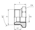 Reducing plug male BSPP - fixed female BSPP