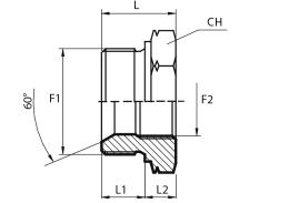 Reducing plug metric male - fixed female BSPP