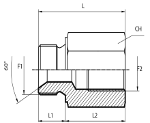 Reducing Adaptor male BSPP - fixed female BSPP