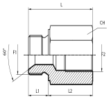 Reducing Adaptor male BSPP - fixed female BSPP