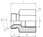 Reducing Adaptor male BSPP - fixed female BSPP