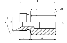 Reducing Adaptor metric male - fixed female BSPP