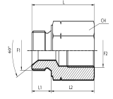 Reducing Adaptor metric male - fixed female BSPP