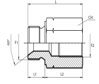 Reducing Adaptor metric male - fixed female BSPP