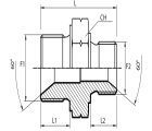 Reducing metric male Adaptor