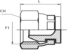 Swivel female Plug BSPP