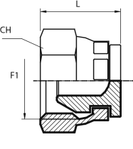 Swivel female Plug BSPP