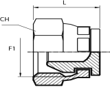 Swivel female Plug BSPP