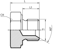 Male Plug BSPP