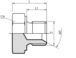 Male Plug BSPP