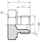 Male Plug BSPP