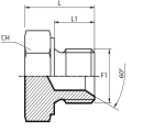Male Plug BSPP