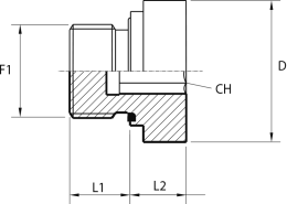 Inner hexagon plug packing ring form E DIN 3852